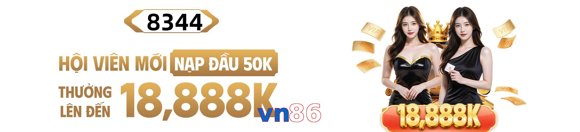 vn86